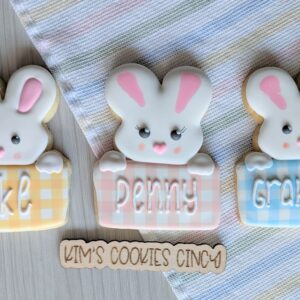 Bunny Gingham Plaque Cookie
